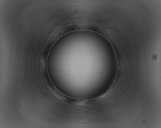 X0000090970086200708241325