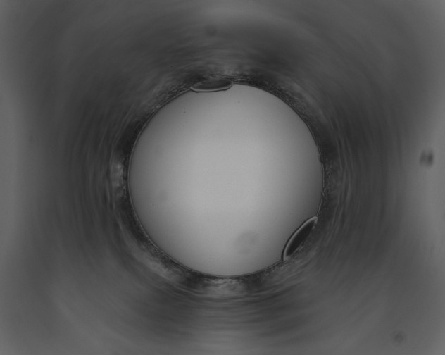 X0000090970087200708241325