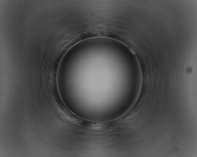 X0000090970088200708241325