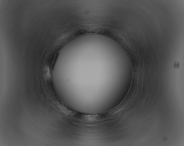 X0000090970089200708241325