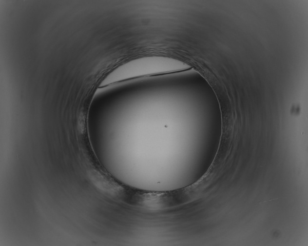 X0000090970090200708241325