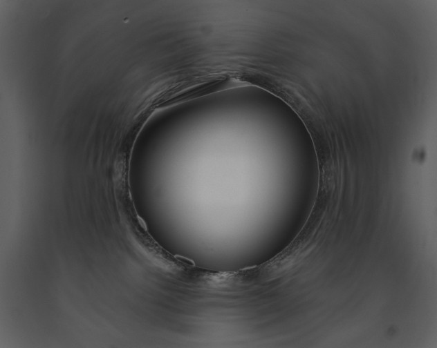 X0000090970092200708241325