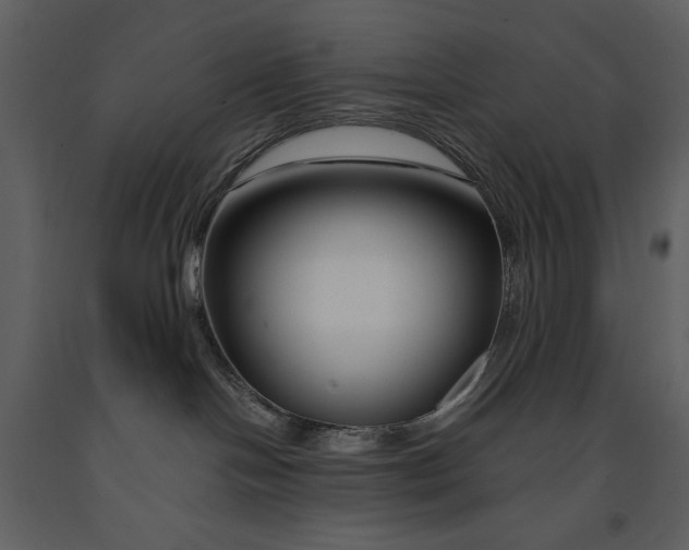 X0000090970094200708241325