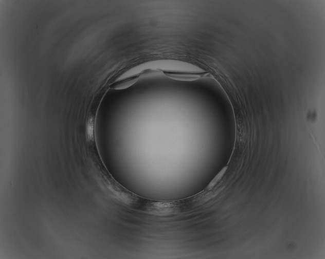 X0000090970095200708241325