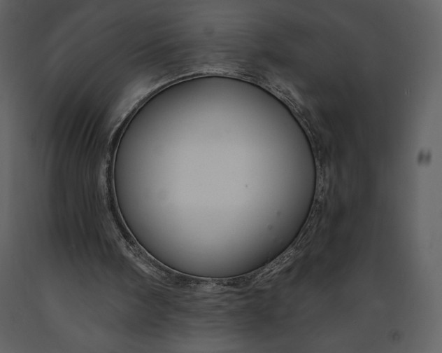 X0000090970098200708241324