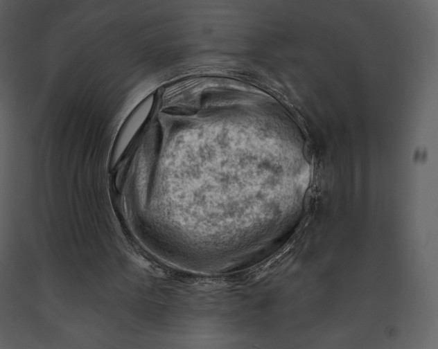 X0000090970099200708241324