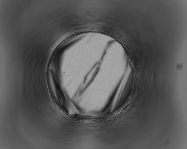 X0000090970100200708241324