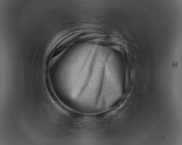 X0000090970101200708241324