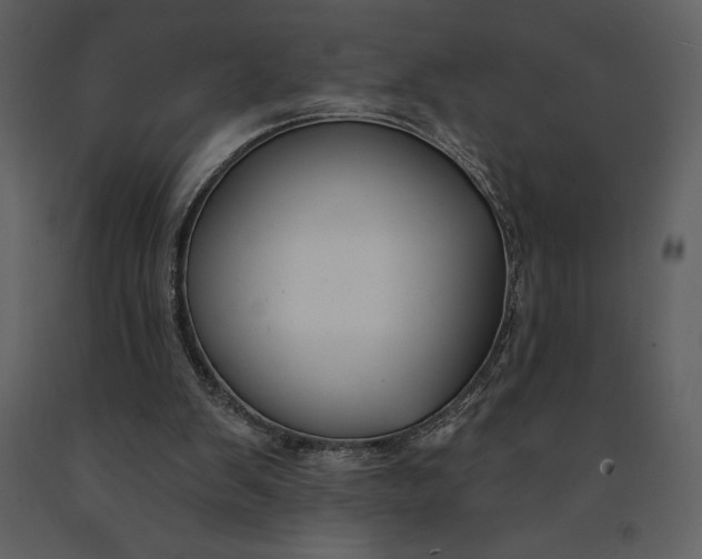 X0000090970103200708241324