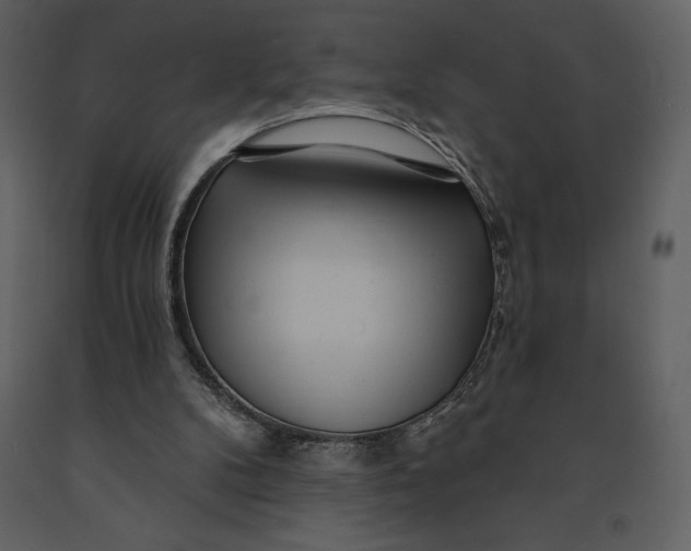 X0000090970104200708241324