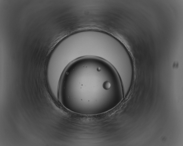 X0000090970105200708241324