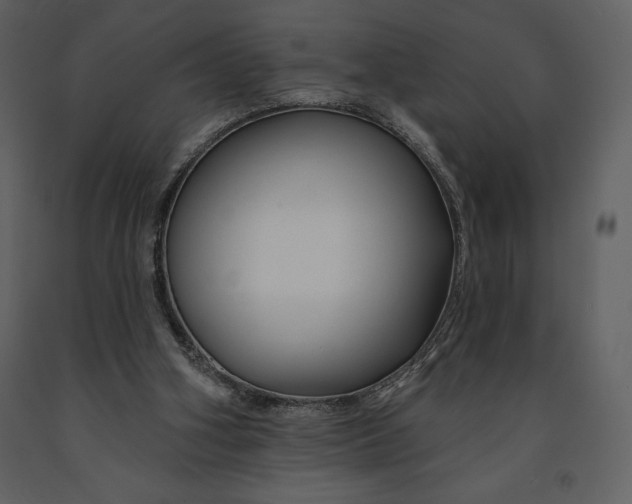 X0000090970106200708241324