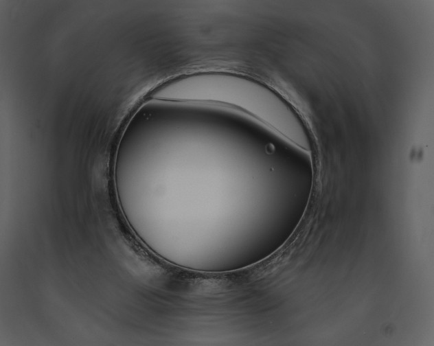 X0000090970107200708241324