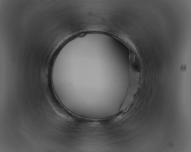 X0000090970108200708241324