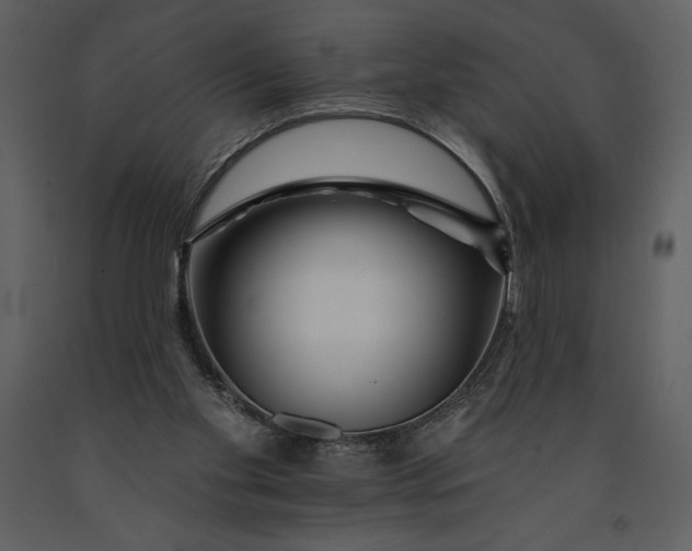 X0000090970109200708241324