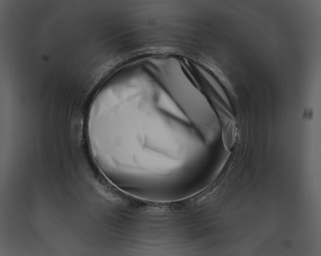 X0000090970110200708241324