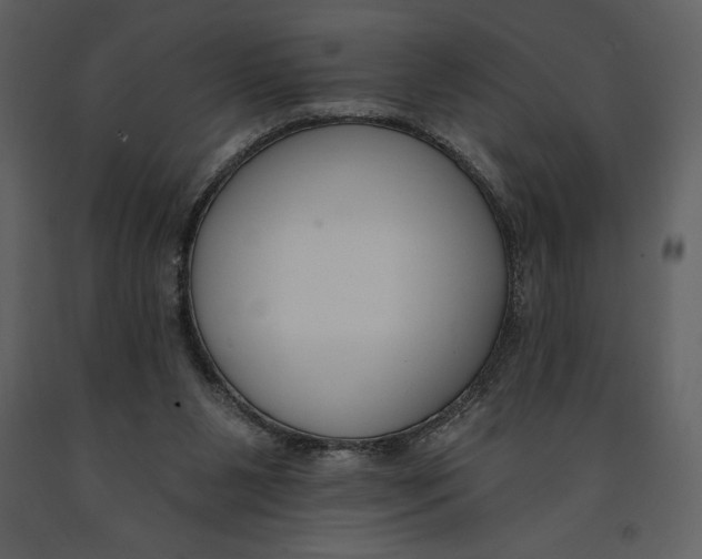 X0000090970111200708241324