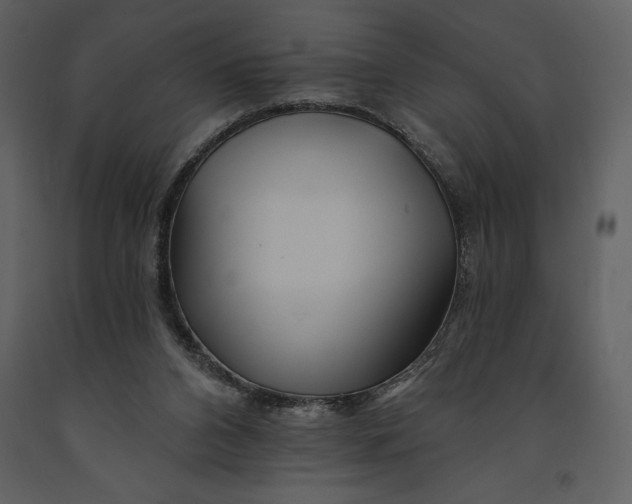 X0000090970112200708241324