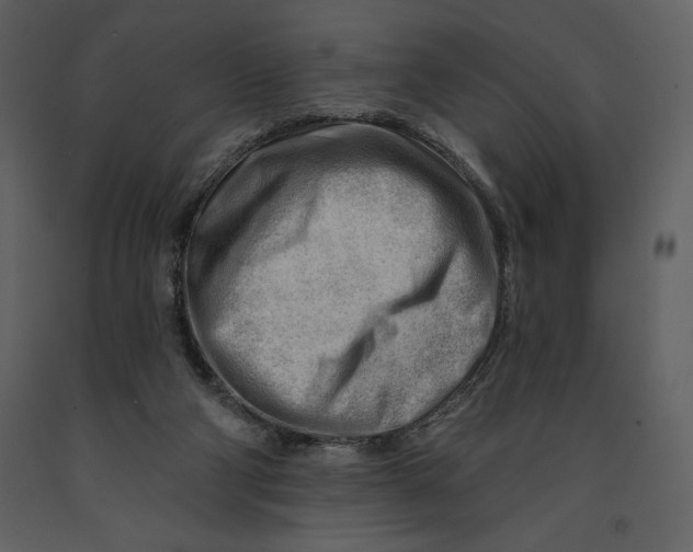 X0000090970114200708241324