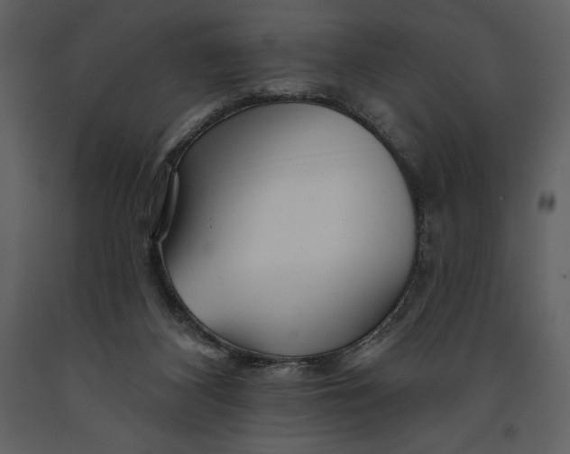 X0000090970116200708241324