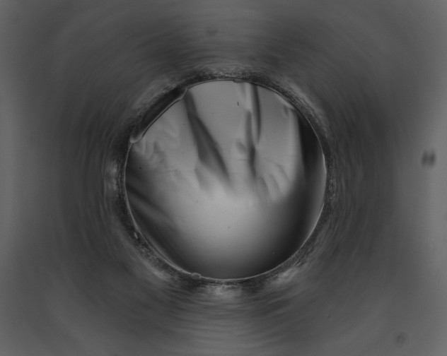 X0000090970117200708241324