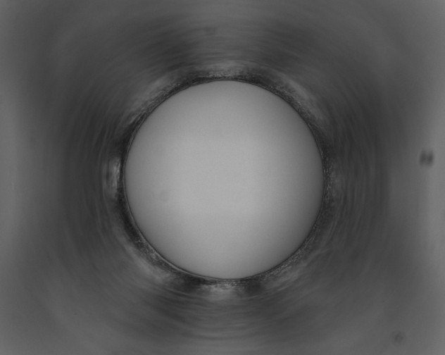 X0000090970118200708241324