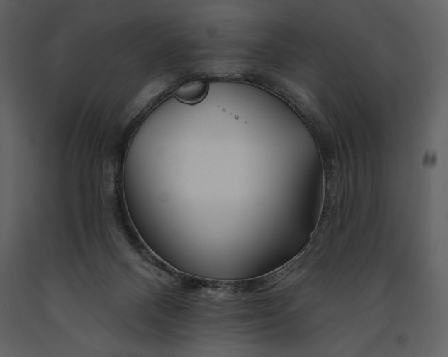 X0000090970120200708241324