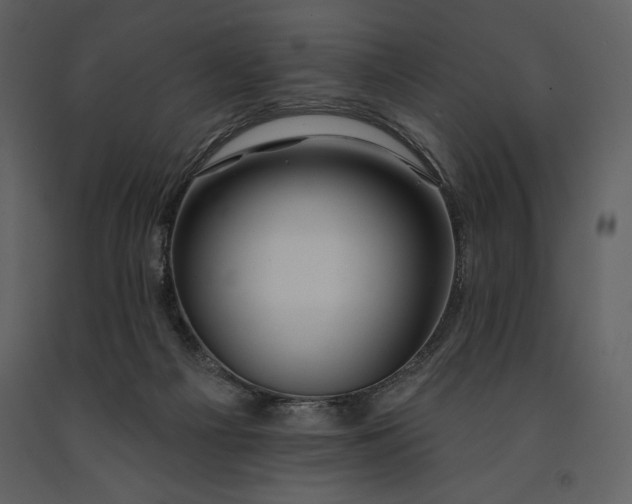 X0000090970121200708241324