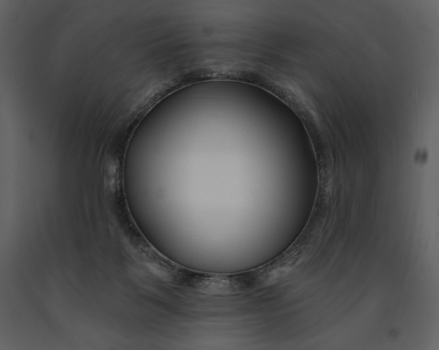 X0000090970123200708241324