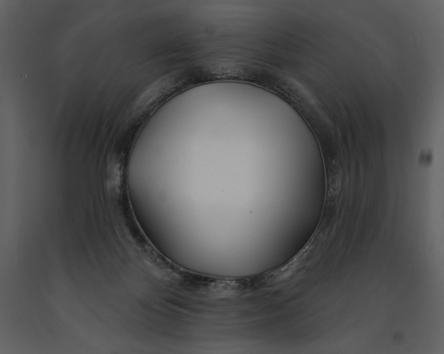 X0000090970124200708241324