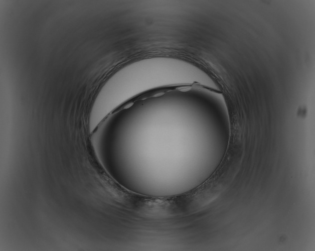 X0000090970125200708241324