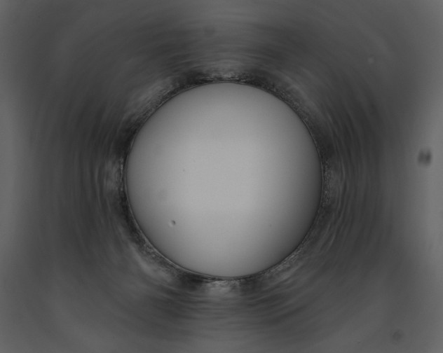 X0000090970126200708241324