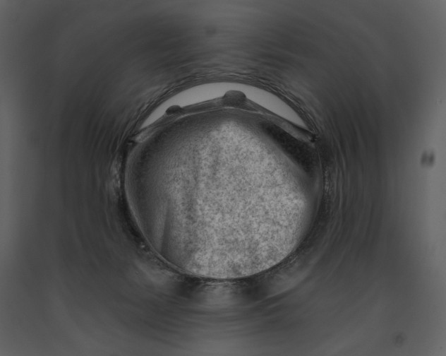 X0000090970127200708241324