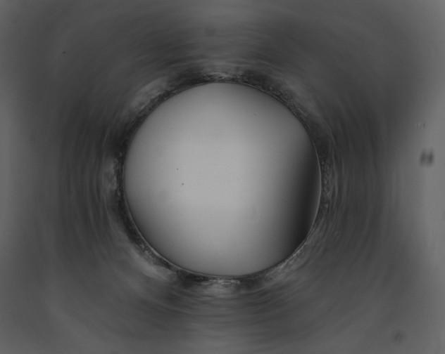 X0000090970128200708241324