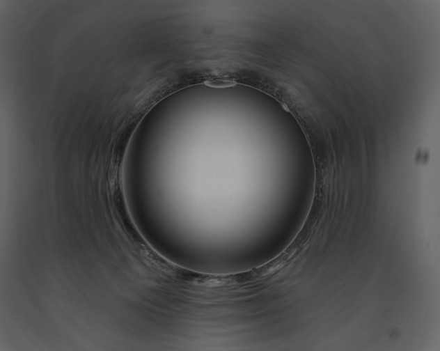 X0000090970129200708241324