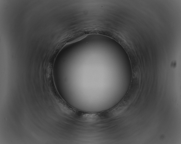 X0000090970133200708241324