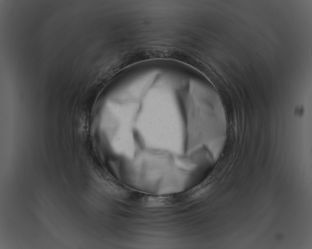 X0000090970134200708241324