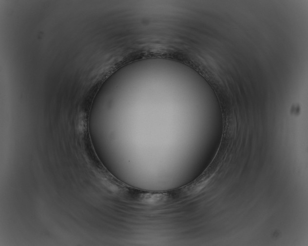 X0000090970135200708241324