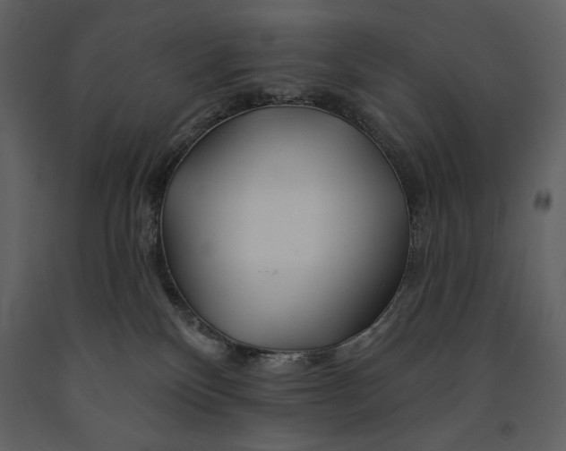 X0000090970136200708241324