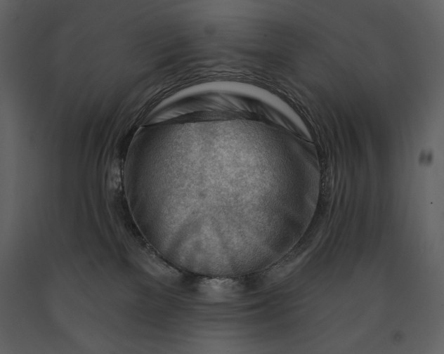 X0000090970137200708241324