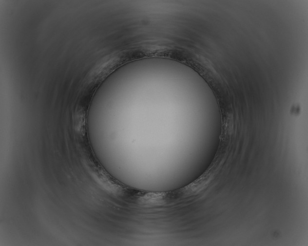 X0000090970138200708241324