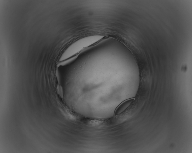 X0000090970139200708241324