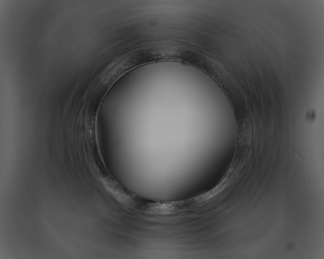 X0000090970140200708241324