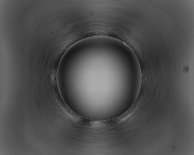 X0000090970141200708241324