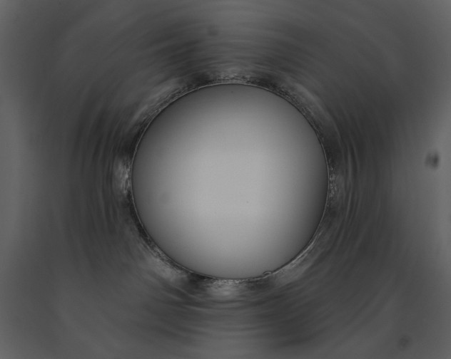 X0000090970142200708241324