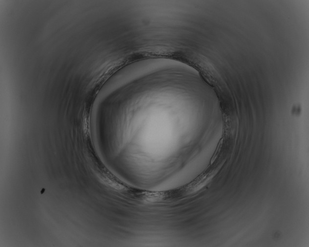 X0000090970143200708241324