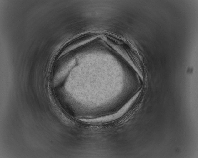 X0000090970145200708241323