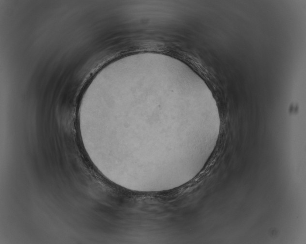 X0000090970146200708241323