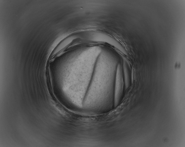 X0000090970147200708241323