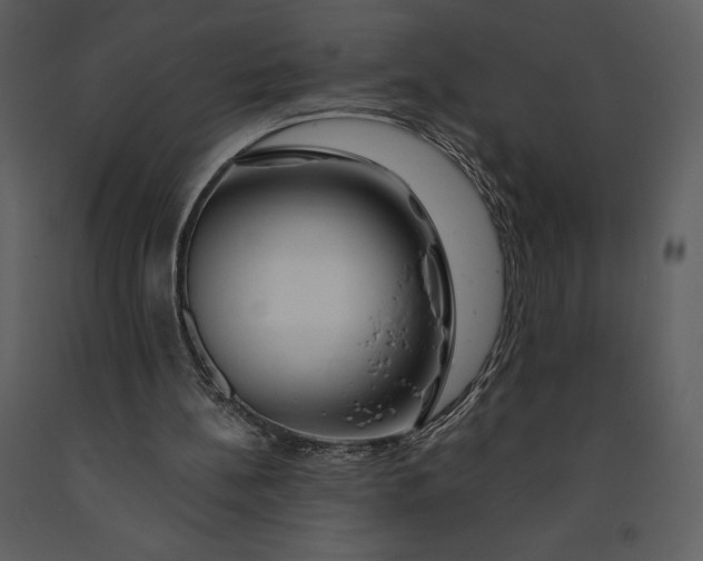 X0000090970148200708241323